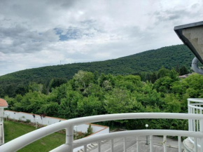 Voli - Studio kod parka Borići, Sokobanja, Soko Banja